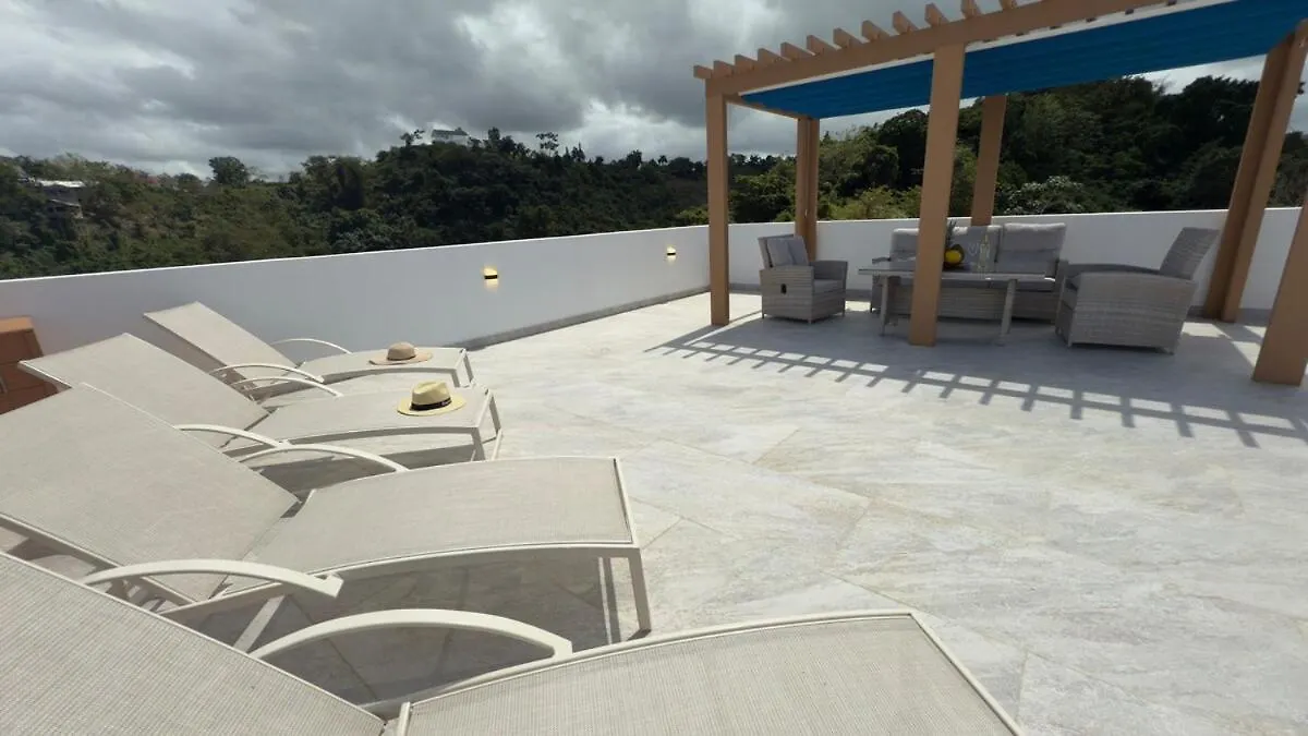 Oceanview Villa With King Beds Las Terrenas